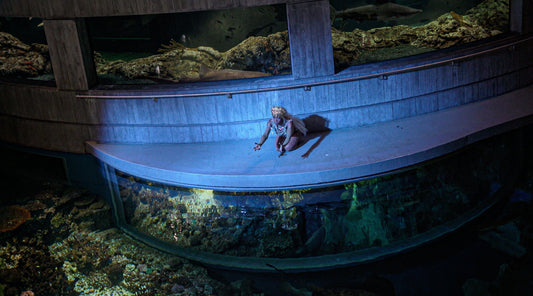 National Aquarium Artist-In-Residence